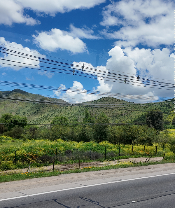 La ruta de acceso a Curacaví conecta la comuna con su entorno territorial y sus sectores rurales