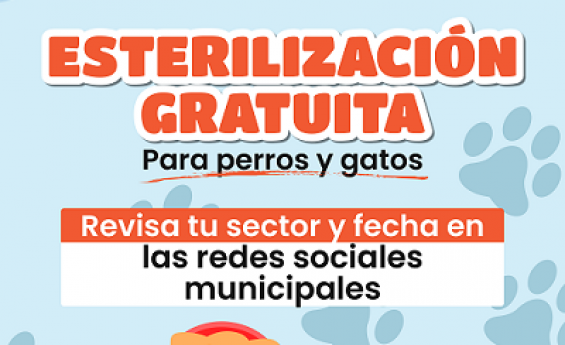 Municipio llama a informarse sobre nuevos operativos de esterilización gratuita para perros y gatos