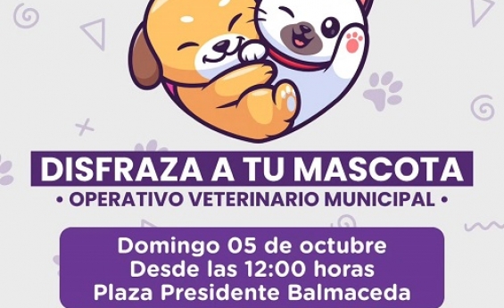 Desfile de mascotas  y operativo veterinario en  Curacaví 