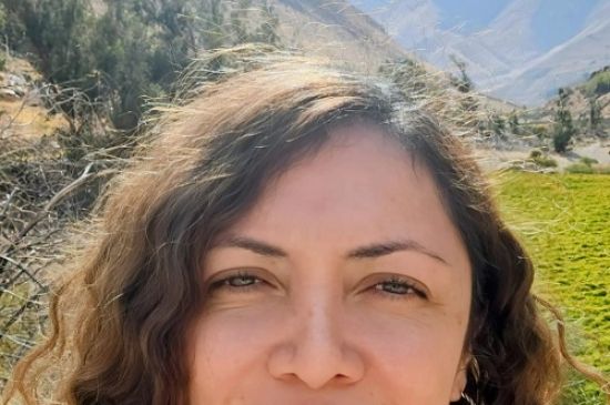 Curacaví Comunidad Compasiva y Fraterna:  Una iniciativa comunitaria clave para lograr cuidados paliativos  integrales y el acompañamiento en la soledad no elegida  según Eva Velandia Aranguren