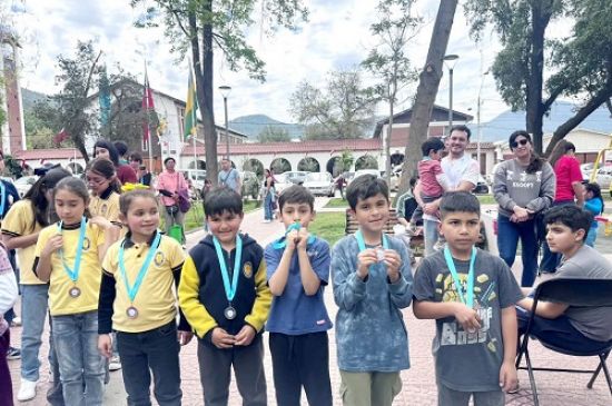 Exitosa Jornada de Ajedrez en la Plaza Presidente Balmaceda: Más De 50 Jugadores Participaron en el Torneo Municipal de Curacaví