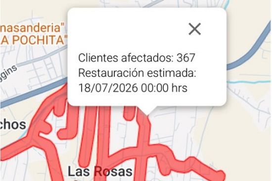 CGE refuerza trabajo en terreno tras sistema frontal: caída de árboles concentra las mayores emergencias
