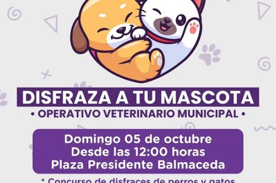 Desfile de mascotas  y operativo veterinario en  Curacaví 