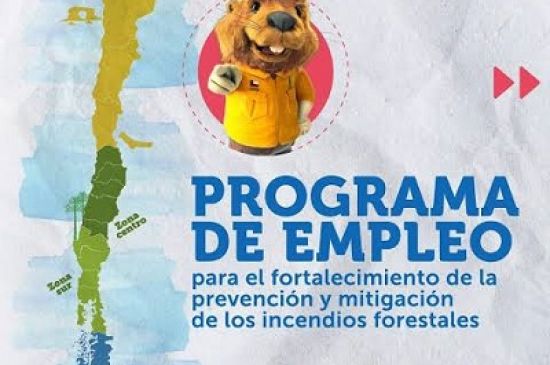 CONAF Abre Alrededor de 10.000 Plazas de Trabajo