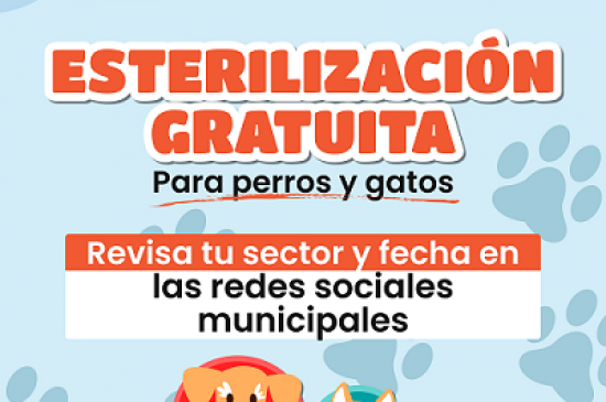 Municipio llama a informarse sobre nuevos operativos de esterilización gratuita para perros y gatos