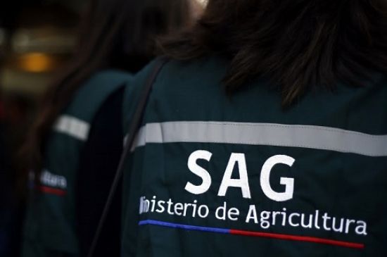 Brigadas del SAG inspeccionan predios y traspatios por vigilancia activa
