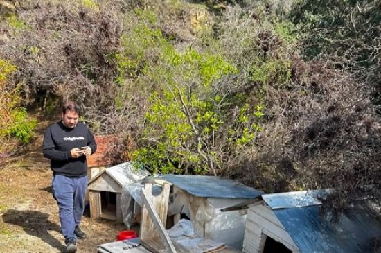 Continúa abandono de animales en la Cuesta Ibacache